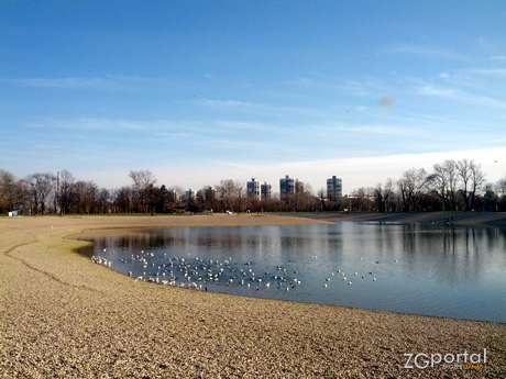 bundek - zagrebački gradski park i jezero bundek - zagrebački gradski park i jezero
