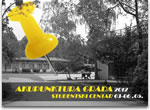 Akupunktura grada 2012