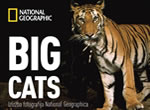 big cats / national geographic