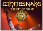 whitesnake / year of snake