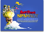 monty python`s spamalot