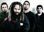 Soulfly