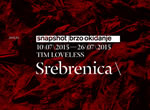 Srebrenica / Tim Loveless