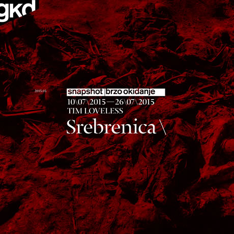 srebrenica / tim loveless