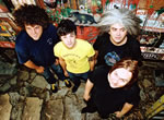 the melvins