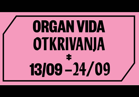 8. organ vida