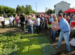 urbani vrtovi / velika gorica