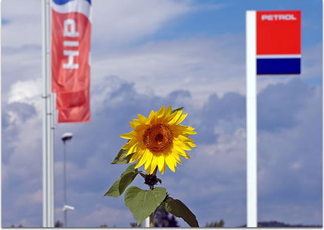 Petrolov autoplin opet mami cijenom