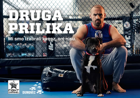 druga prilika / azil dumovec i fight channel