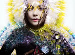 björk / vulnicura