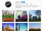 ZGportal @ instagram