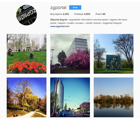 ZGportal @ instagram