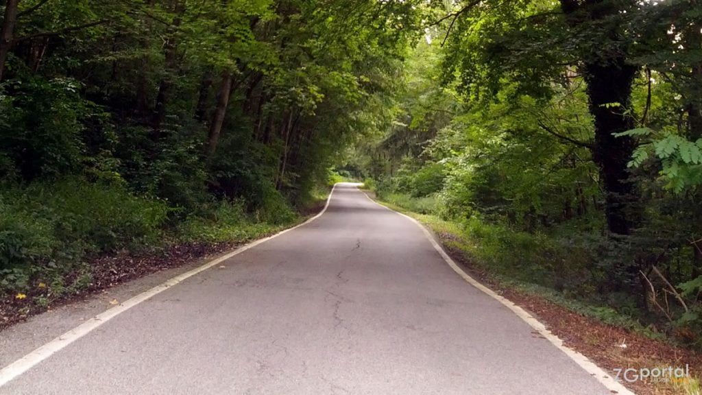 sljemenska cesta, medvednica, zagreb / srpanj 2014.