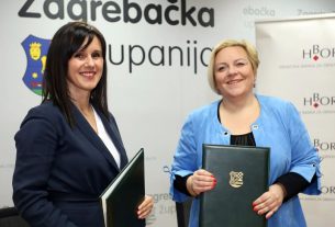 danijela maršić peica i nadica žužak - 2020