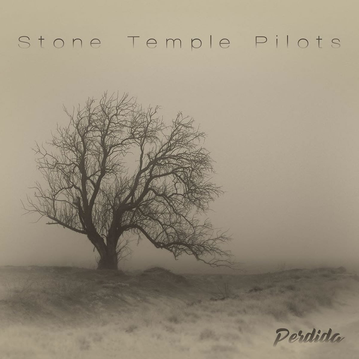 stone temple pilots - perdida - 2020