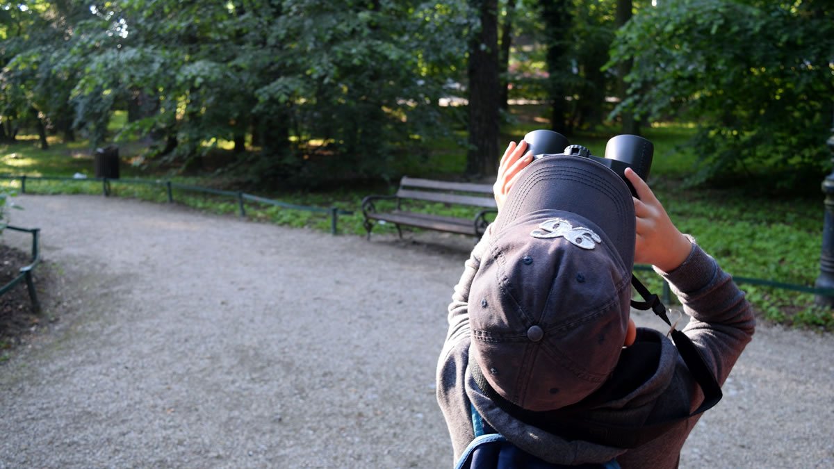 promatranje ptica - park maksimir zagreb - 2020