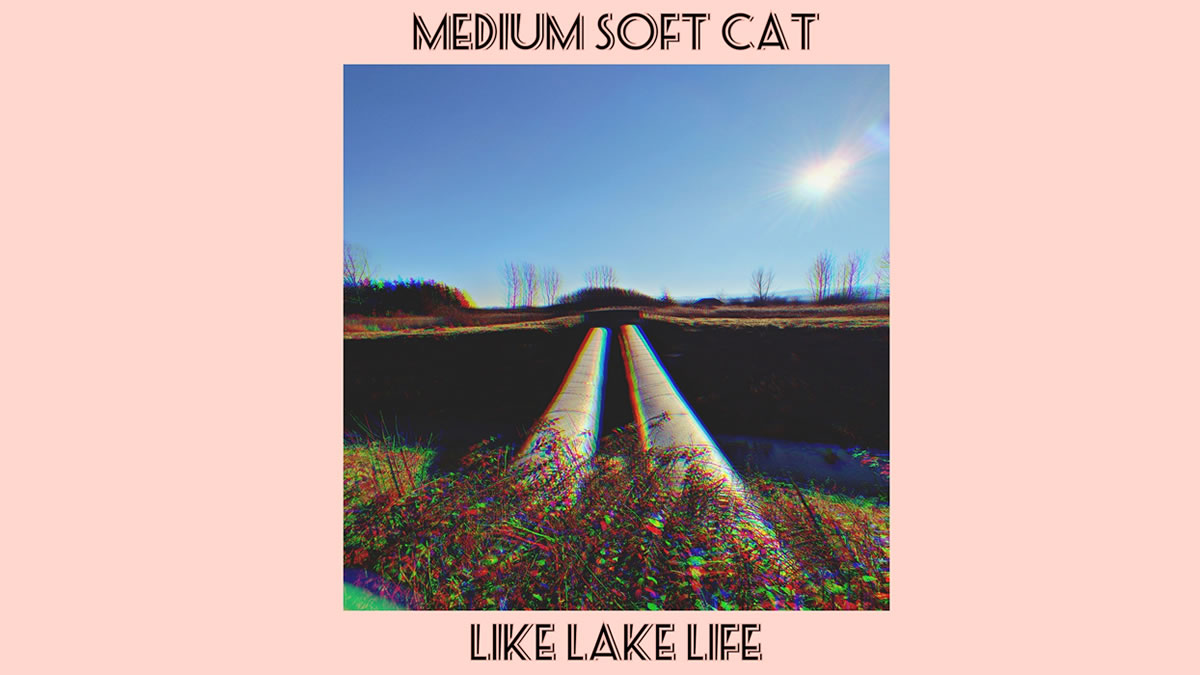 medium soft cat - like lake life - 2022.