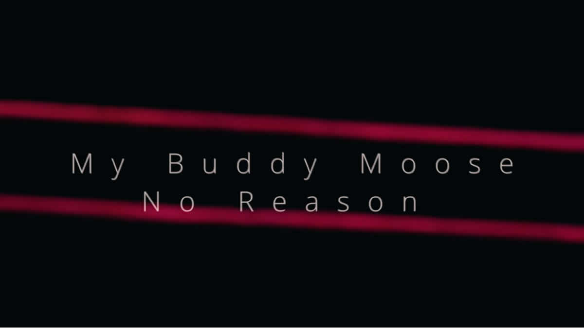 my buddy moose - no reason | 2024.