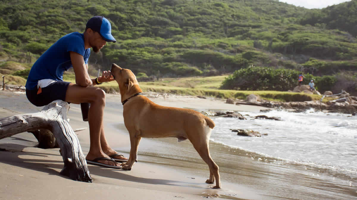 world news | jamaica | man with dog on beach | 2024.