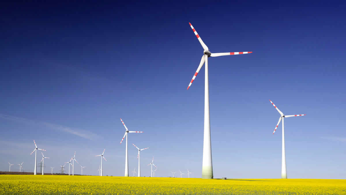 world news | renewable energy | 2024.